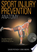 Sport Injury Prevention Anatomy