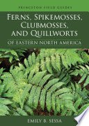 Ferns, Spikemosses, Clubmosses, and Quillworts of Eastern North America (Princeton Field Guides, 150)