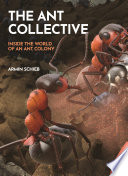 The Ant Collective: Inside the World of an Ant Colony	
