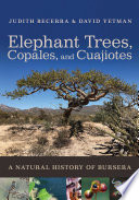  Elephant Trees, Copales, and Cuajiotes: A Natural History of Bursera