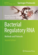  Bacterial Regulatory RNA: Methods and Protocols (Methods in Molecular Biology, 2741)