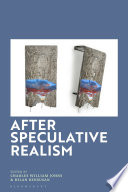  After Speculative Realism