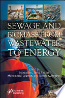 Sewage and Biomass from Wastewater to Energy: Possibilities and Technology