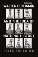  Walter Benjamin and the Idea of Natural History