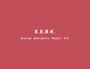  Energy Emergency Repair Kit