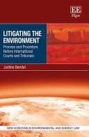  Litigating the Environment: Process and Procedure Before International Courts and Tribunals (New Horizons in Environmental and Energy Law series)