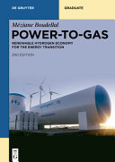  Power-to-Gas: Renewable Hydrogen Economy for the Energy Transition