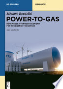 Power-to-Gas: Renewable Hydrogen Economy for the Energy Transition