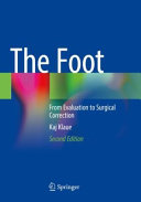  The Foot