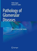 
Pathology of Glomerular Diseases: Atlas of Clinical Case Studies 1st ed. 2022 Edition