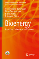  Bioenergy: Impacts on Environment and Economy