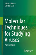 Molecular Techniques for Studying Viruses: Practical Notes	